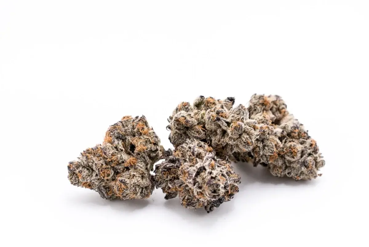 Apple Fritter Smalls