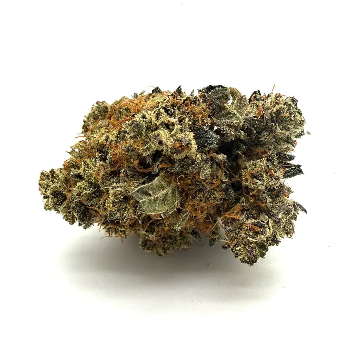 Dante's Inferno - Starbuds Halifax - shrooms halifax