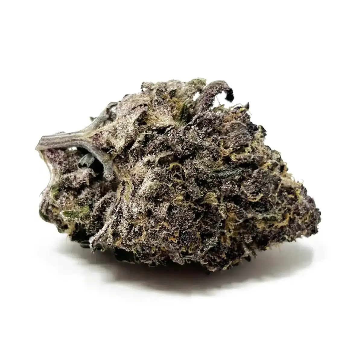Platinum Blackberry - Starbuds Halifax - shrooms halifax