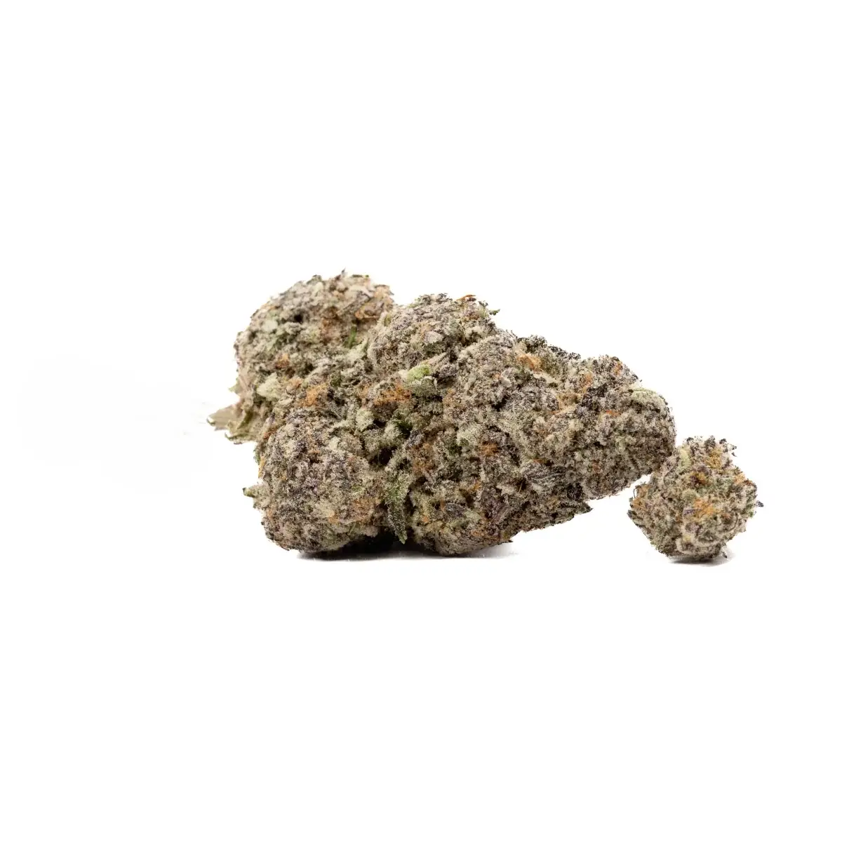 Purple Afghan