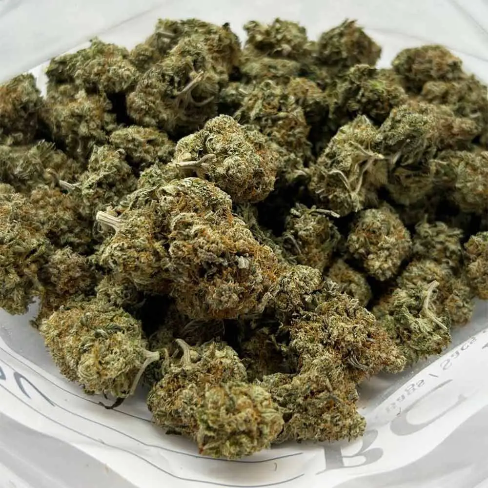 Pink Candy - Starbuds Halifax - shrooms halifax