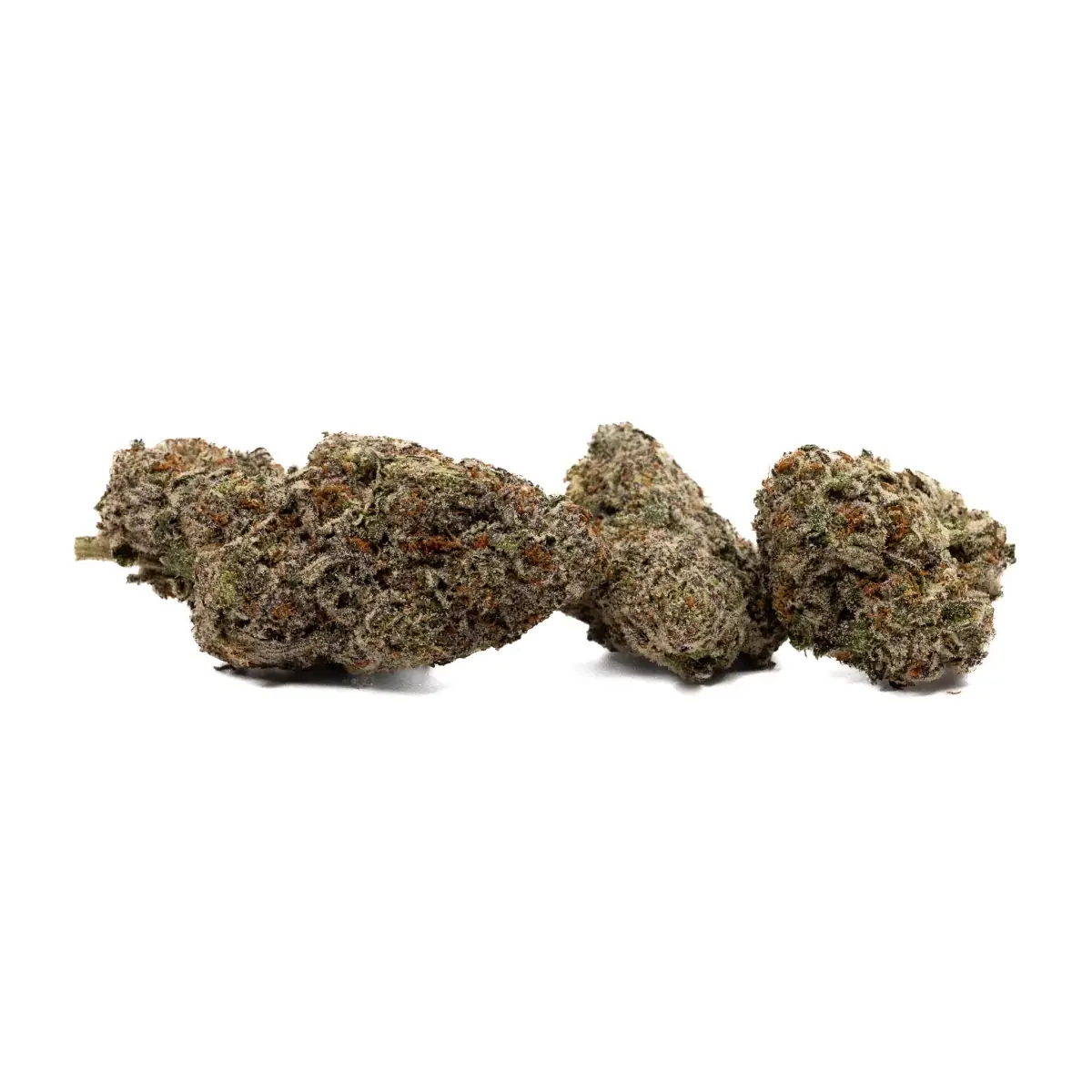 Bubba Zombie - Starbuds Halifax - shrooms halifax