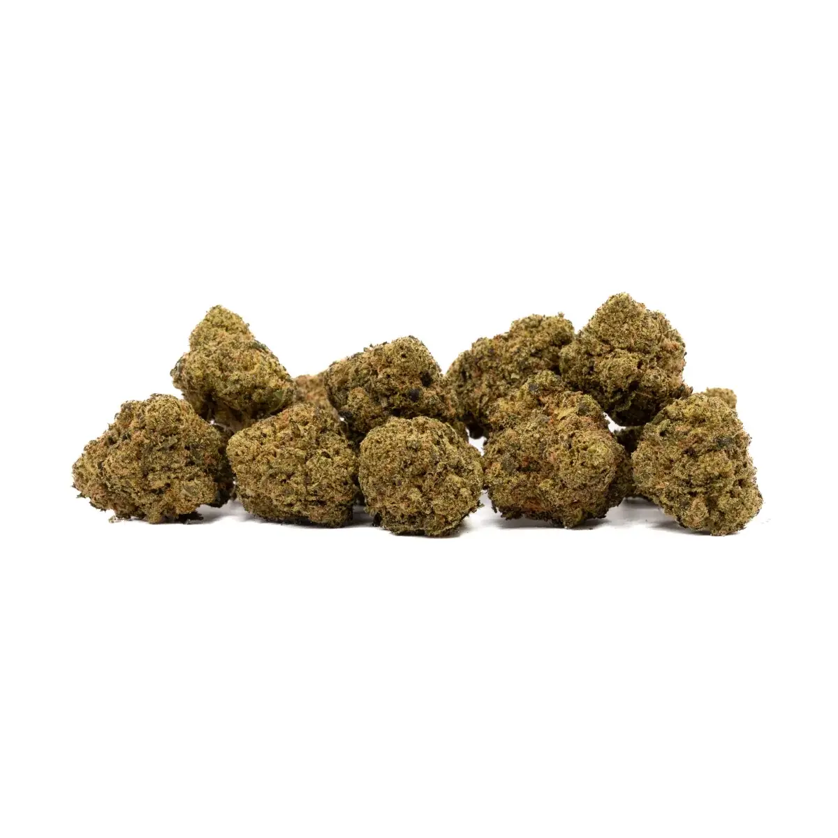 Master Kush - Starbuds Halifax - shrooms halifax