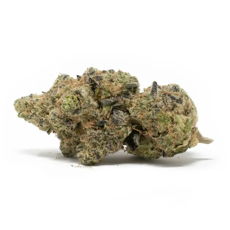 Donkey Breath