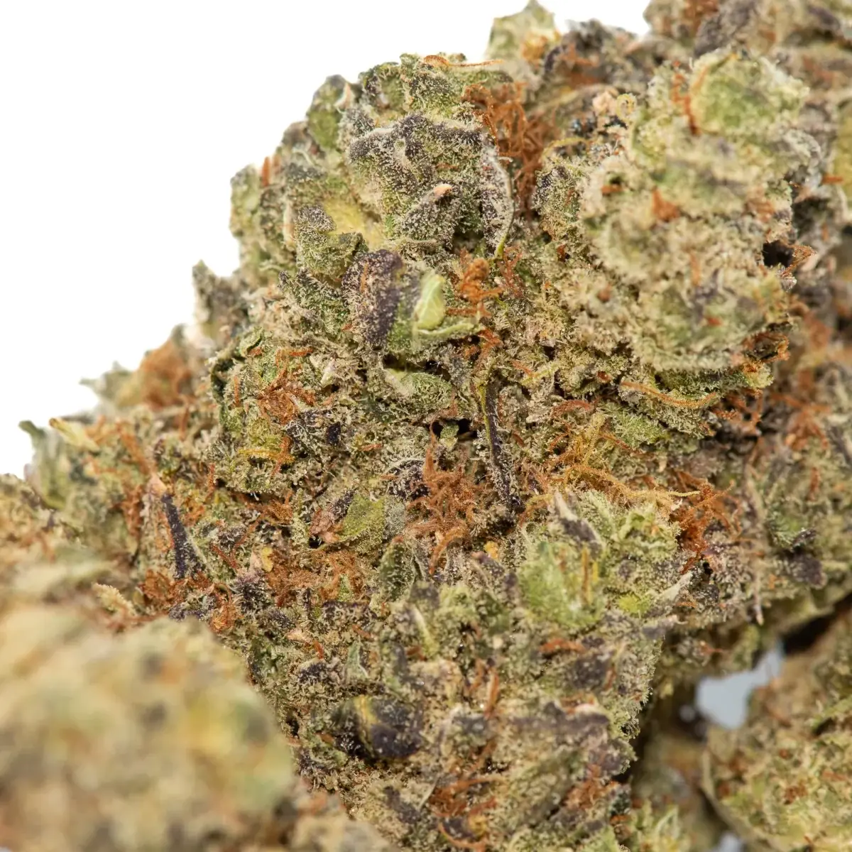 Slurricane