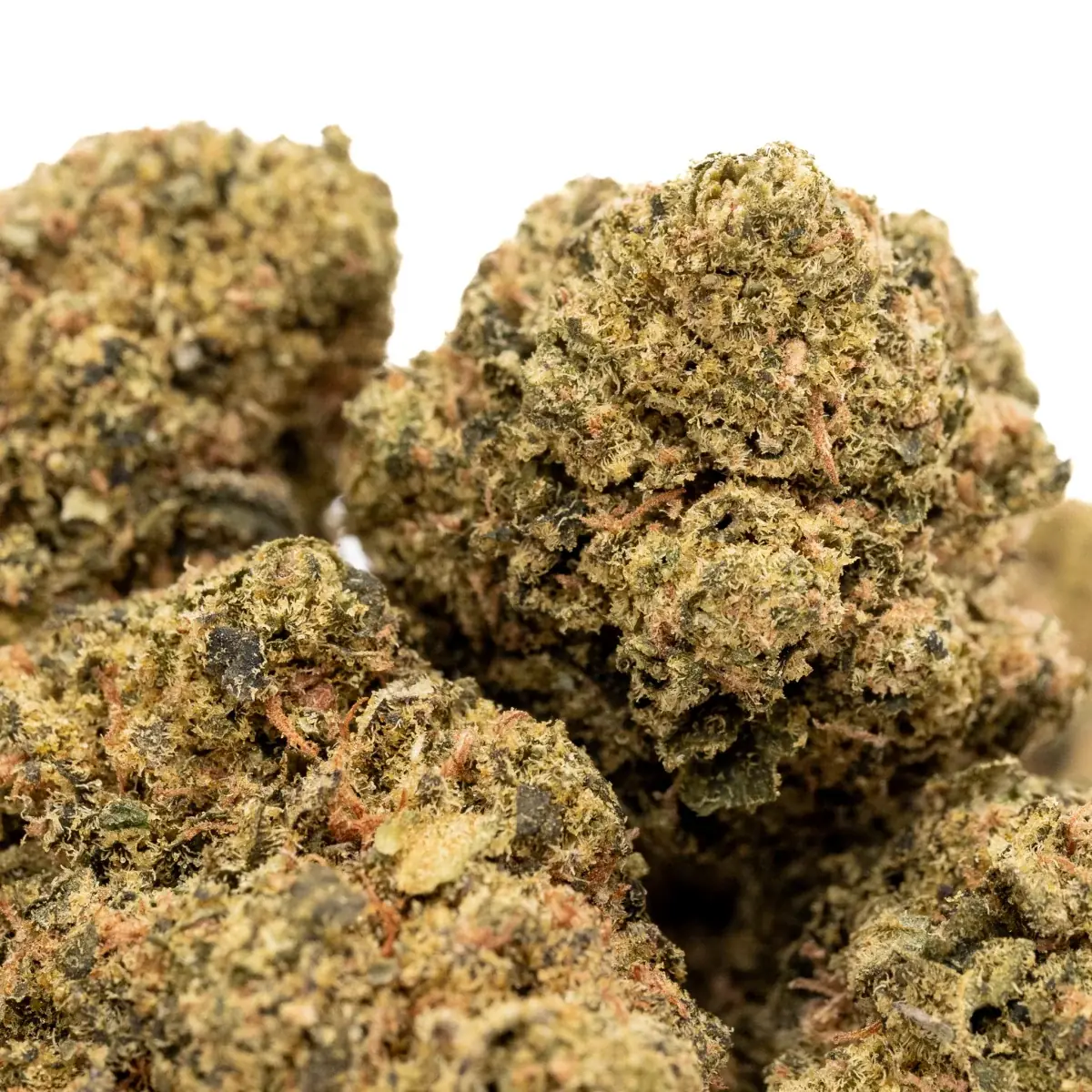 Triangle Mints - Starbuds Halifax - shrooms halifax