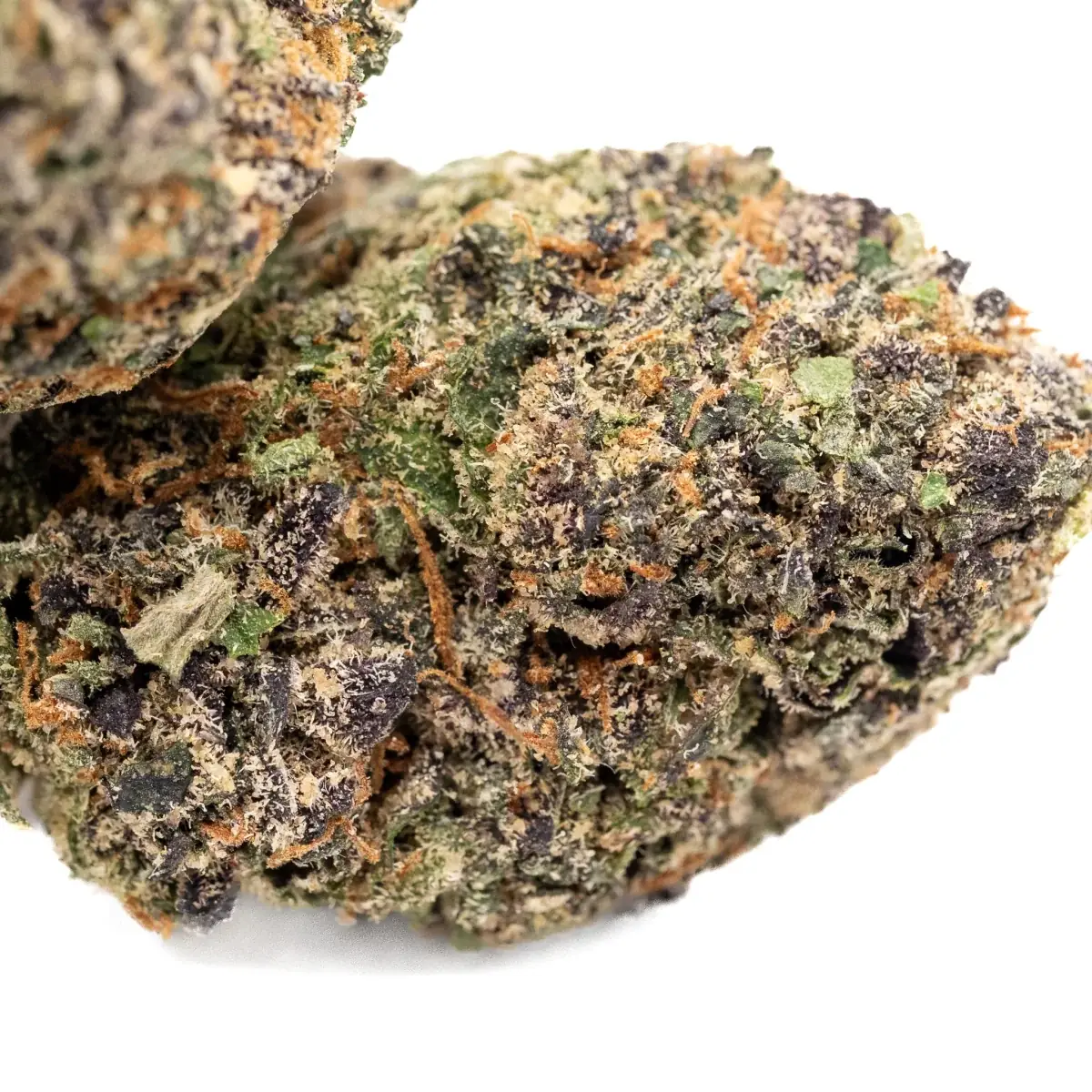 Dante's Wrath - Starbuds Halifax - shrooms halifax