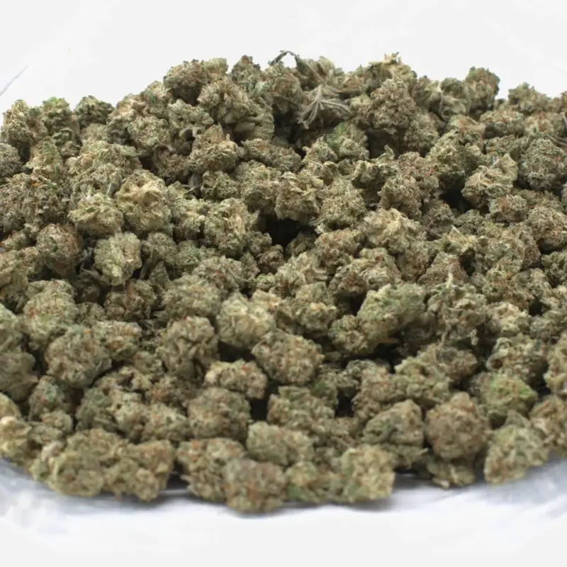 Green Crack - Starbuds Halifax - shrooms halifax
