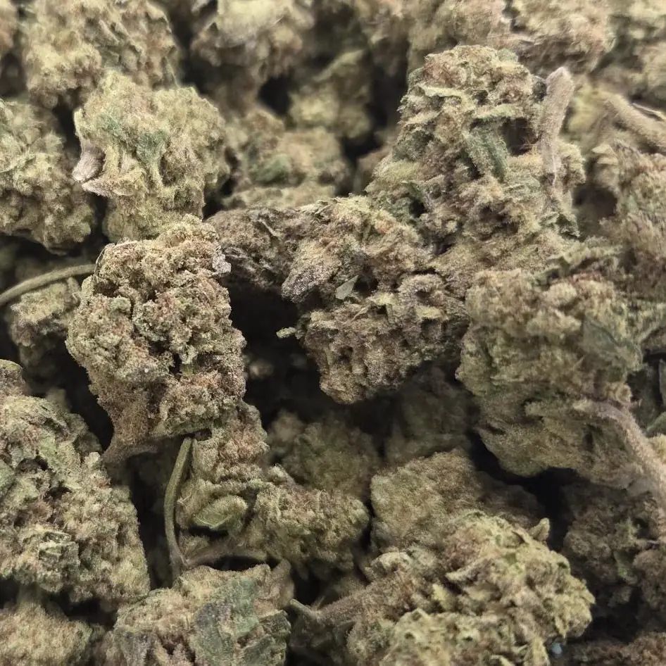 Sweet Berry - Starbuds Halifax - shrooms halifax