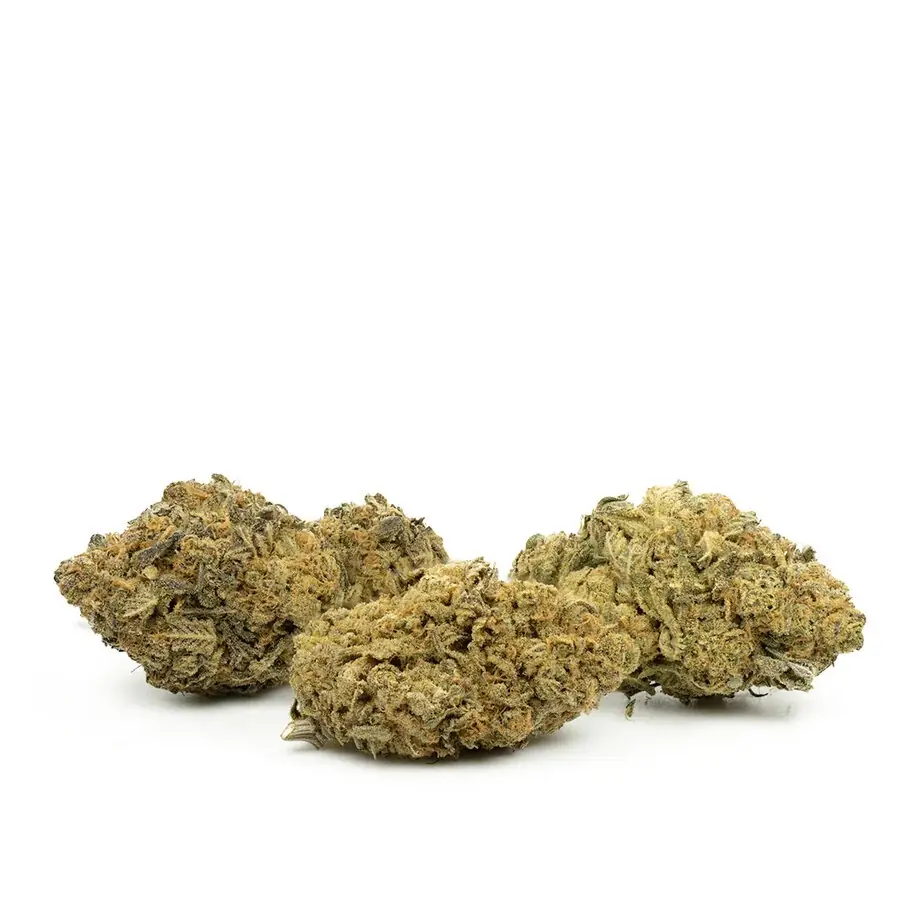 Pink Kitty - Starbuds Halifax - shrooms halifax