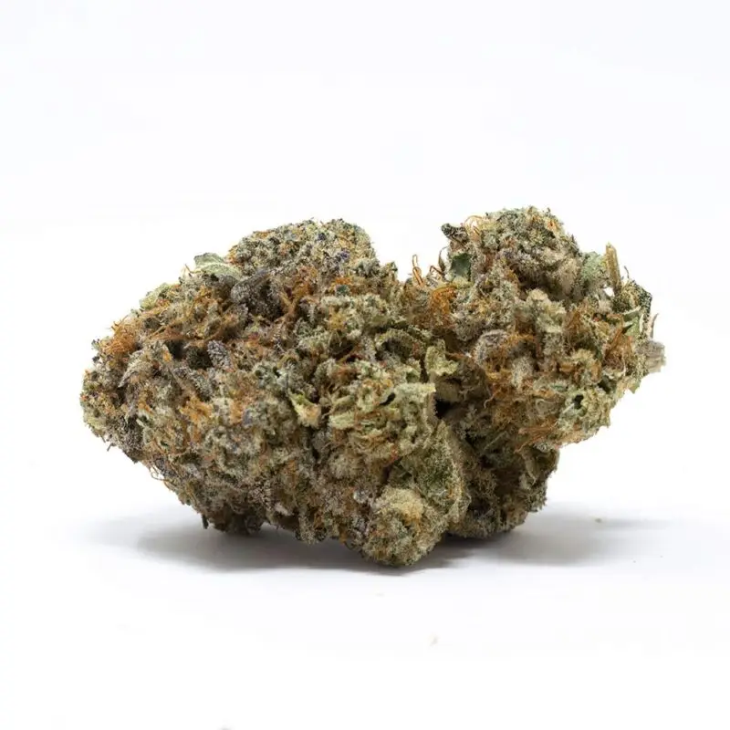 Pink Kitty AAAA - Starbuds Halifax - shrooms halifax