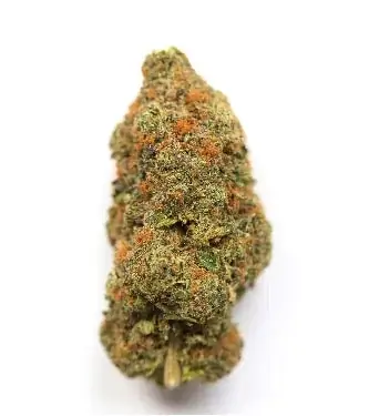Lindsey OG AAAA - Starbuds Halifax - shrooms halifax