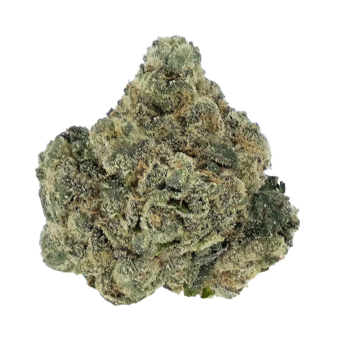 Okanagan Frost AAAA - Starbuds Halifax - shrooms halifax
