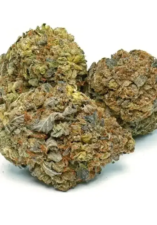 Ultra Death Bubba - Starbuds Halifax - shrooms halifax