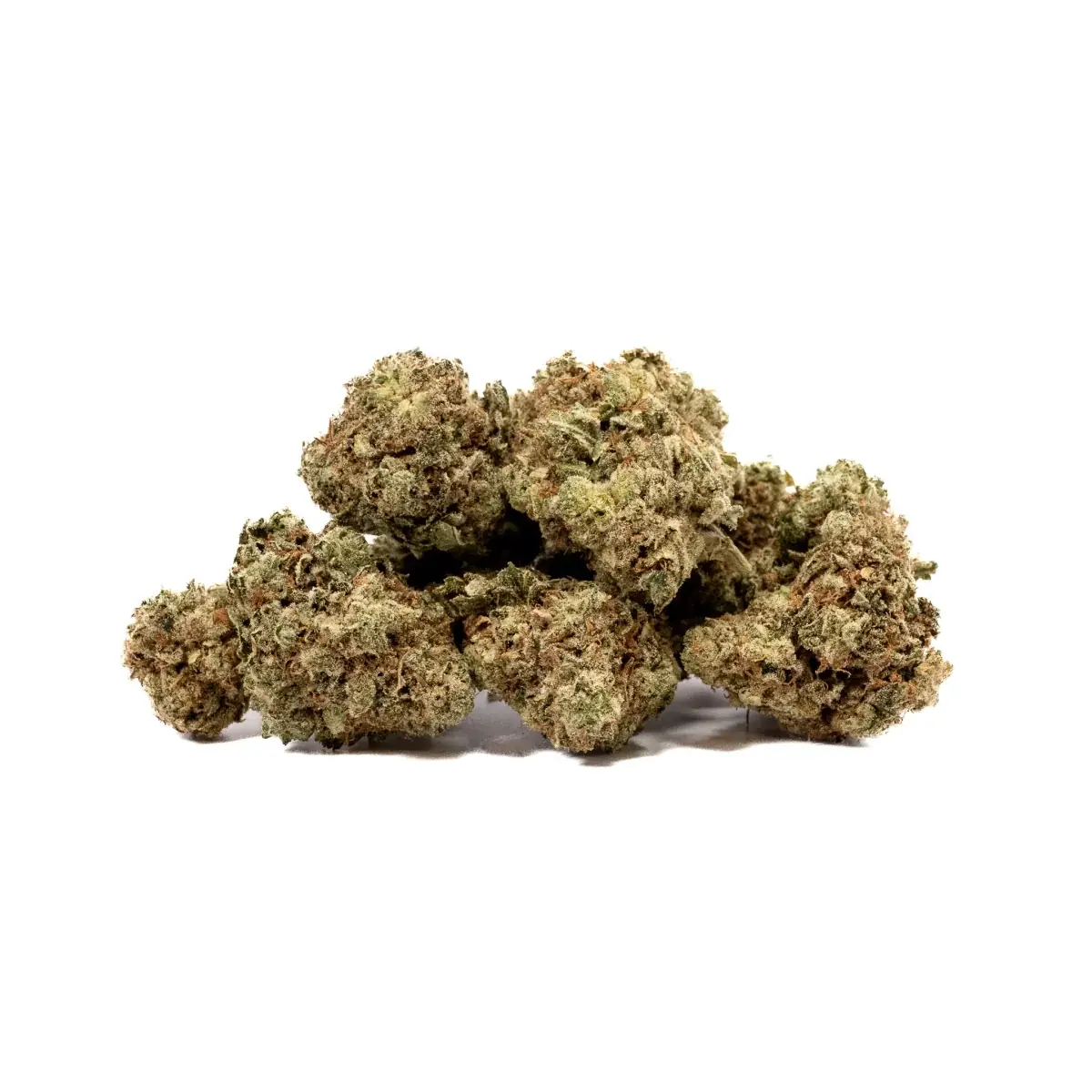 Grape Frost - Starbuds Halifax - shrooms halifax