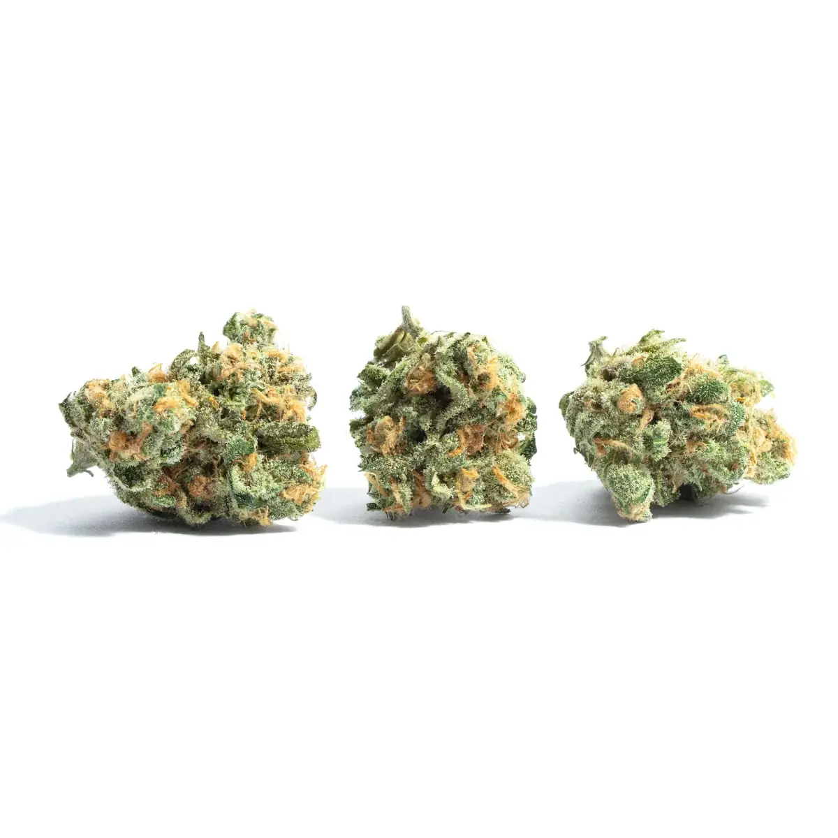 Kansas City Kush - Starbuds Halifax - shrooms halifax