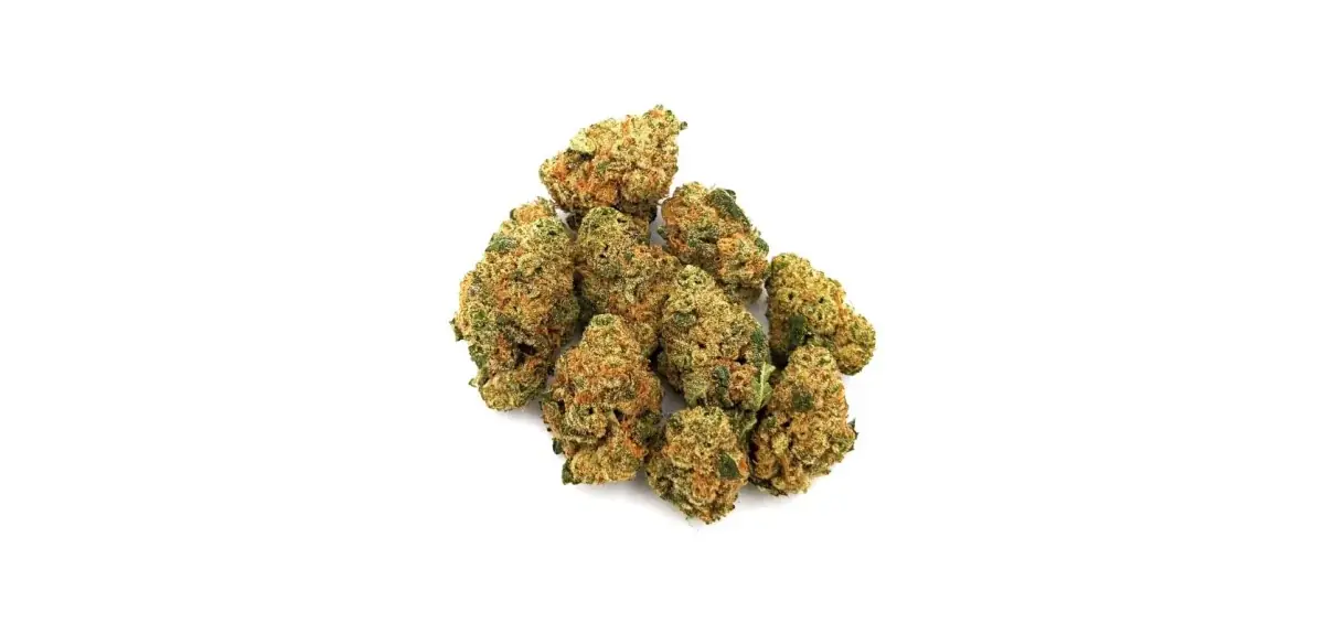 Lemon Biscotti - Starbuds Halifax - shrooms halifax