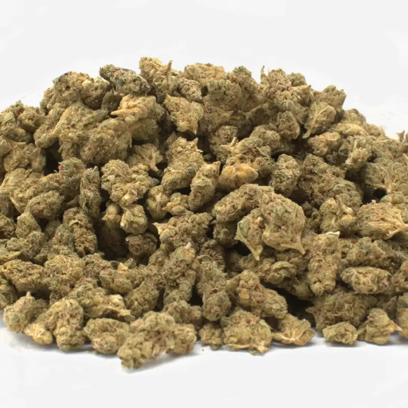 Ghost Gelato - Starbuds Halifax - shrooms halifax