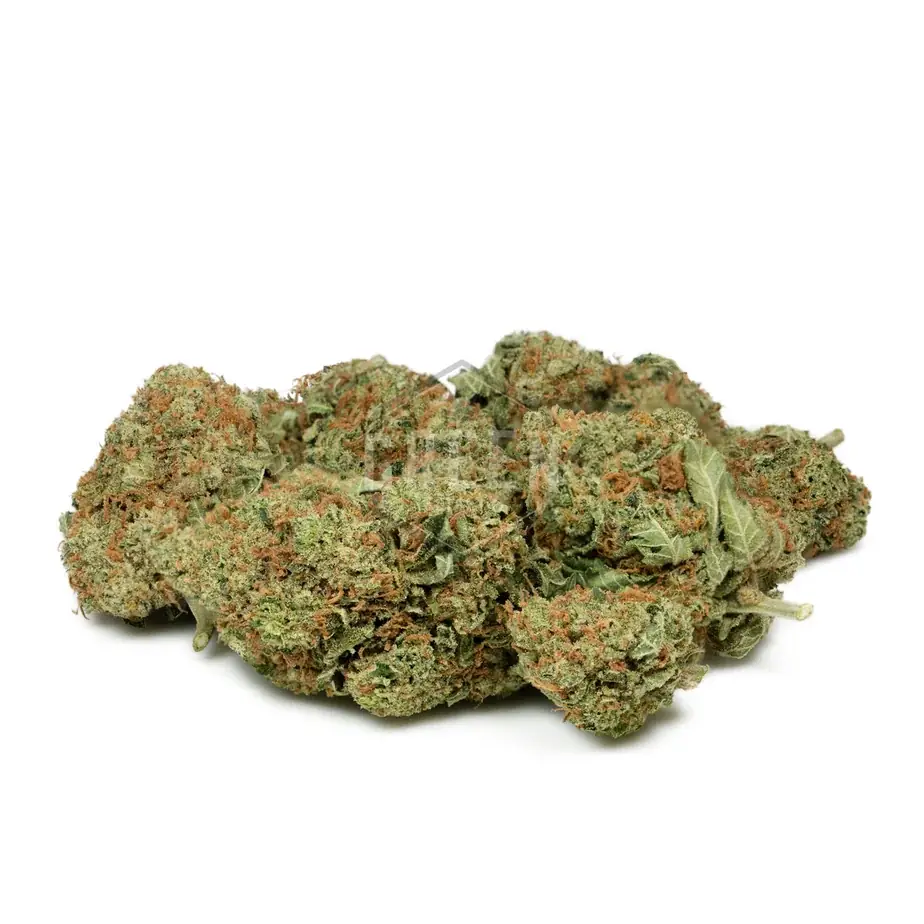 Hawaiian Diesel - Starbuds Halifax - shrooms halifax