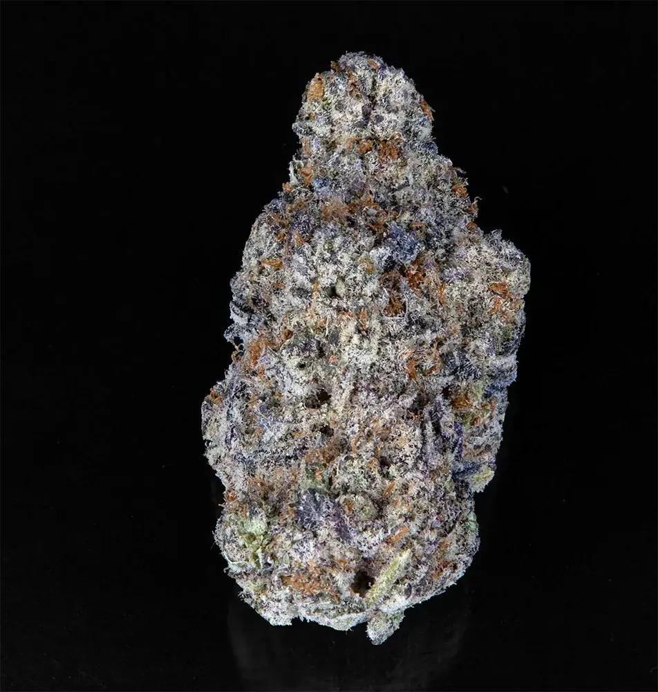 Blue Lemon Slushie - Starbuds Halifax - shrooms halifax