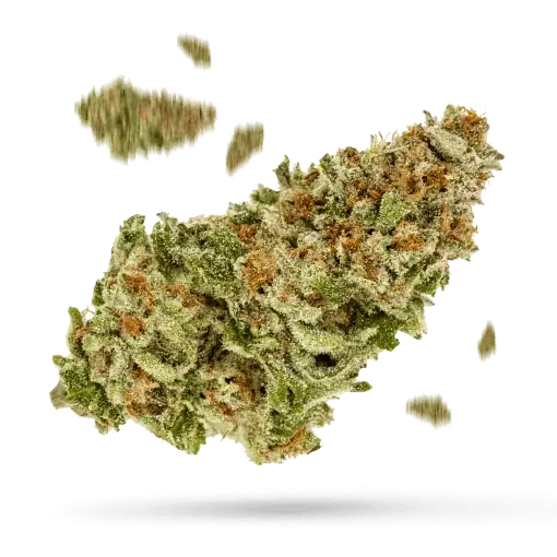 Tropicana Cookies