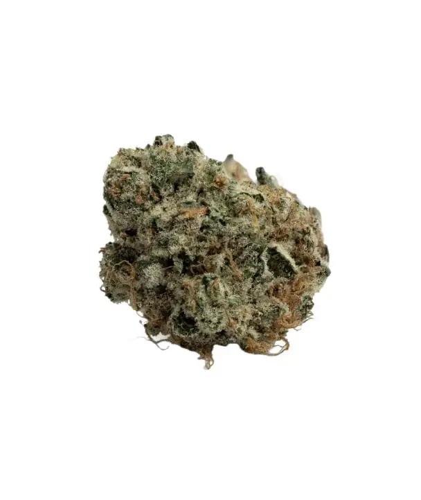 Zebra Cake - Starbuds Halifax - shrooms halifax