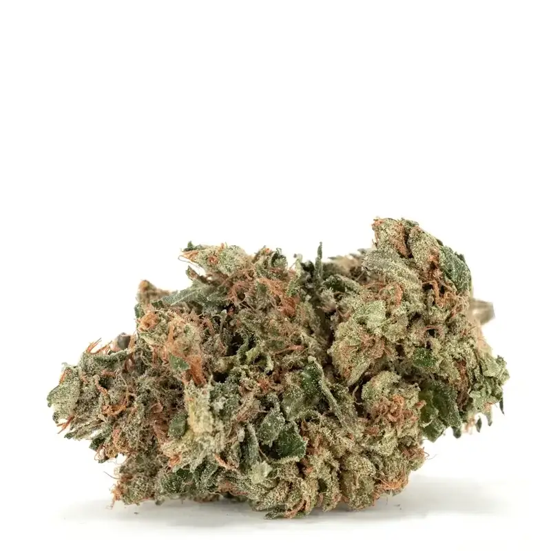 Satellite OG - Starbuds Halifax - shrooms halifax