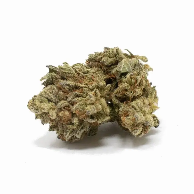 White Cookies - Starbuds Halifax - shrooms halifax