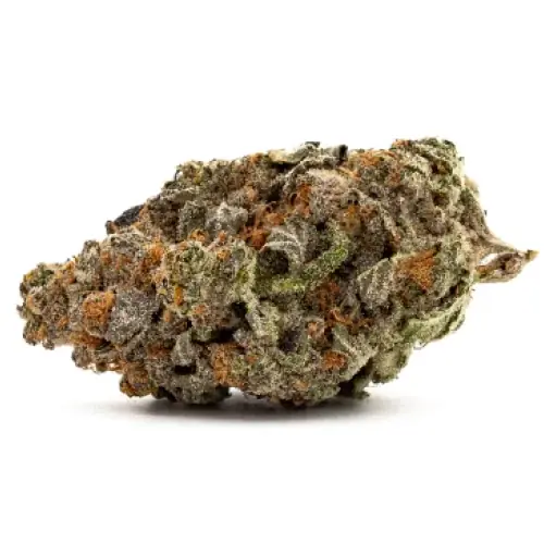 Platinum Kush - Starbuds Halifax - shrooms halifax