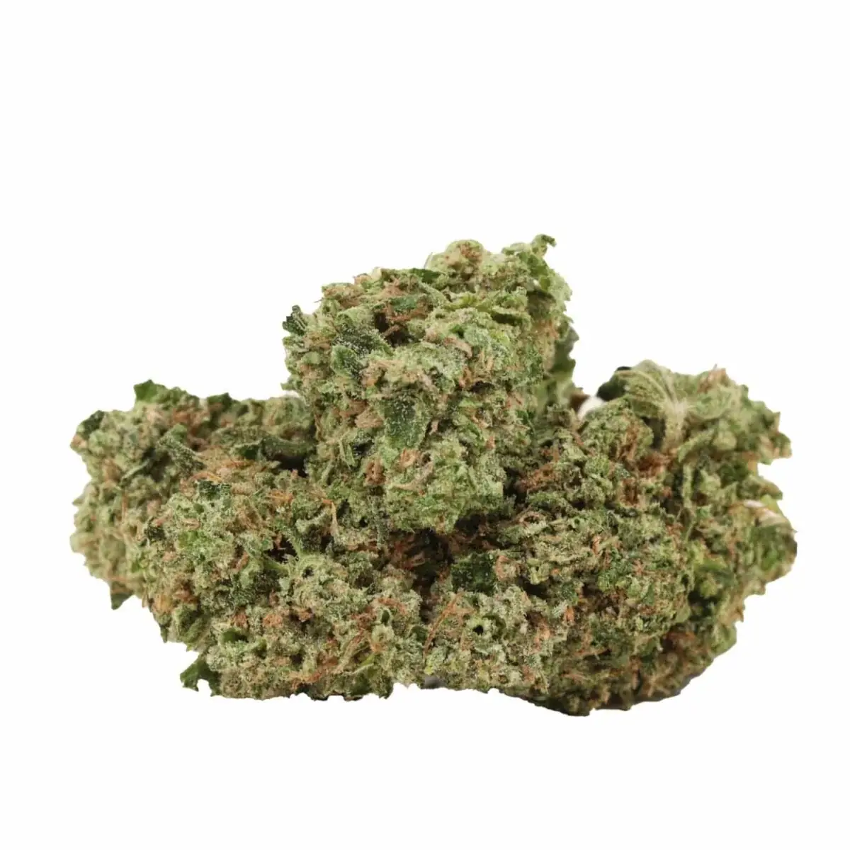 Rainbow Kush - Starbuds Halifax - shrooms halifax