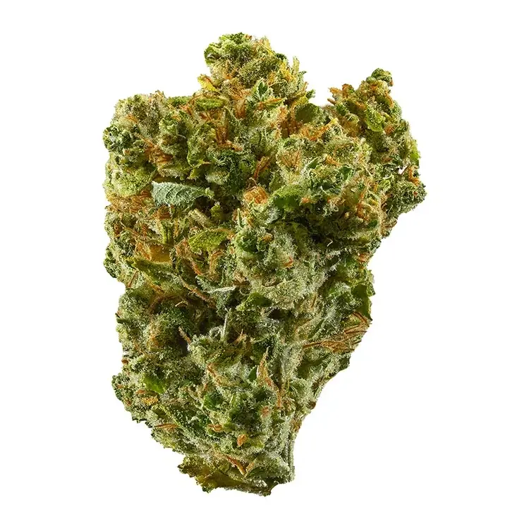 Silver Kush - Starbuds Halifax - shrooms halifax