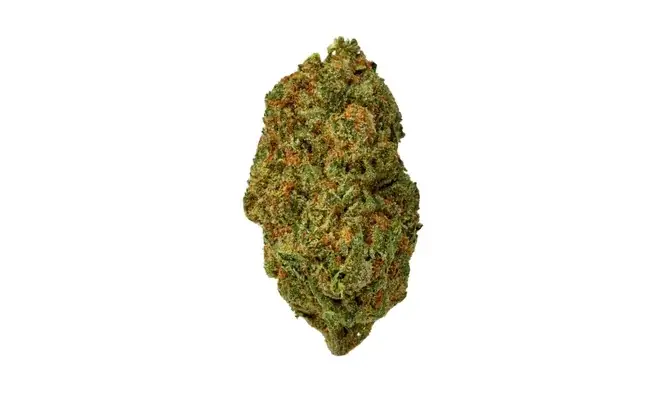 Highway Man - Starbuds Halifax - shrooms halifax