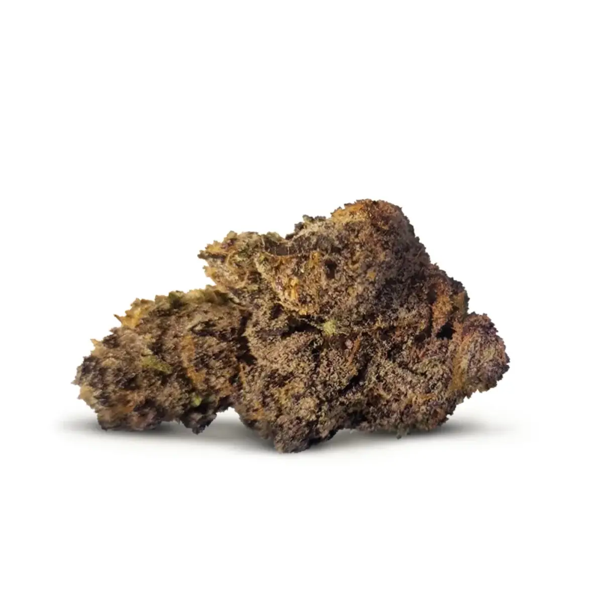 Critical Kush - Starbuds Halifax - shrooms halifax