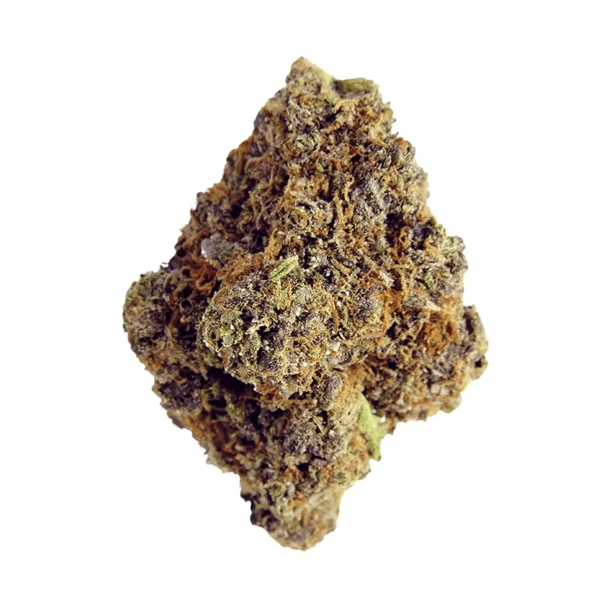 Grape Gorilla - Starbuds Halifax - shrooms halifax