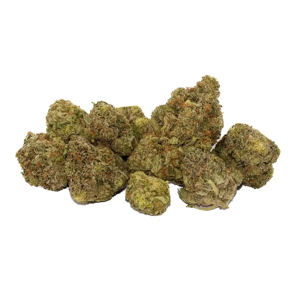 Pink Gushers - Starbuds Halifax - shrooms halifax