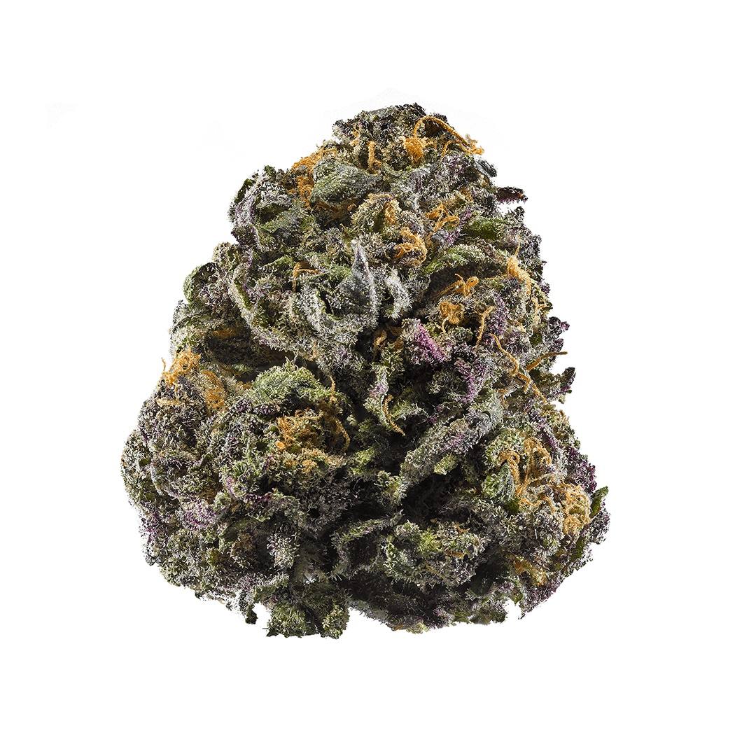 Grandaddy Grenade - Starbuds Halifax - shrooms halifax