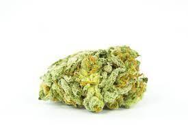 Island Girl - Starbuds Halifax - shrooms halifax