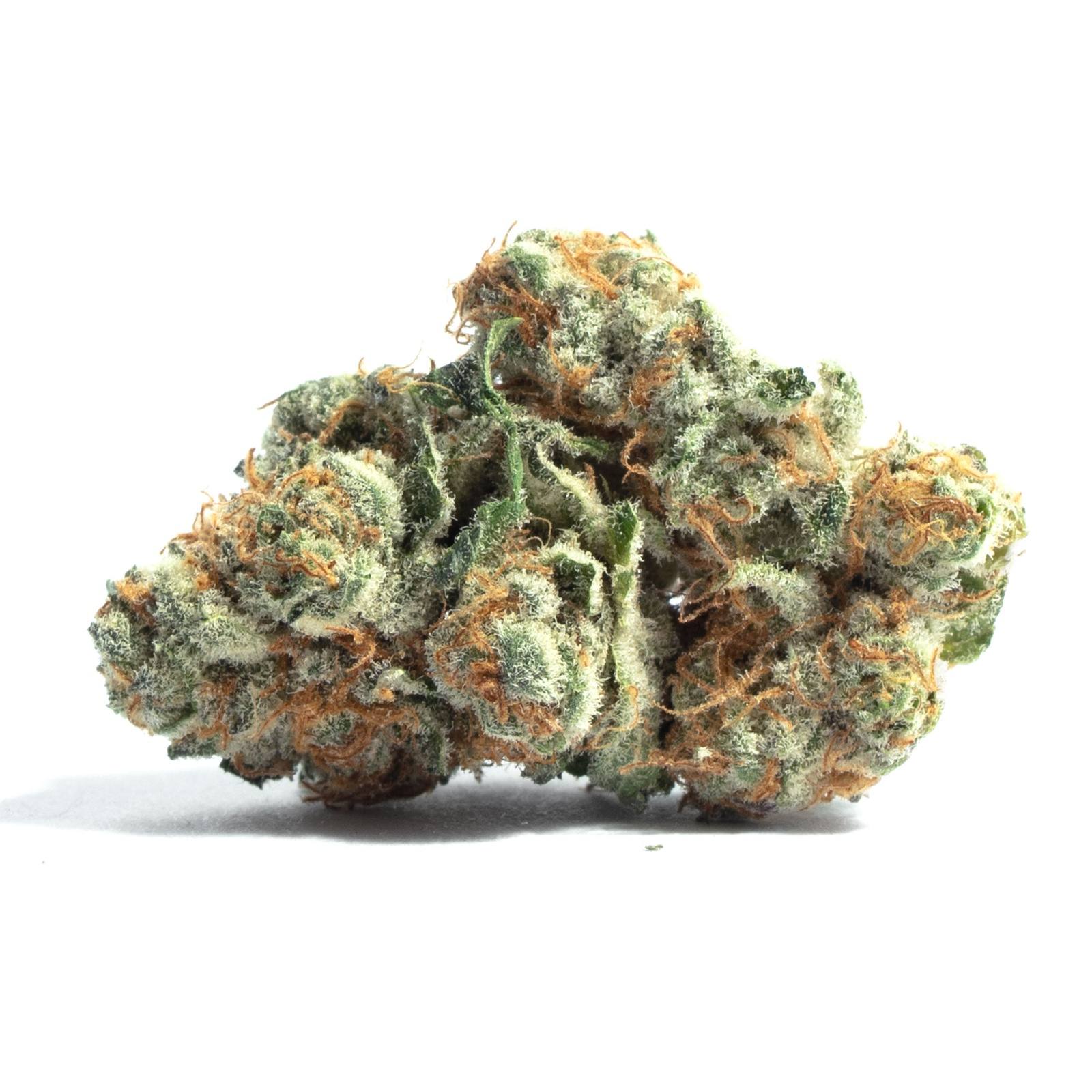 Banana Foster - Starbuds Halifax - shrooms halifax