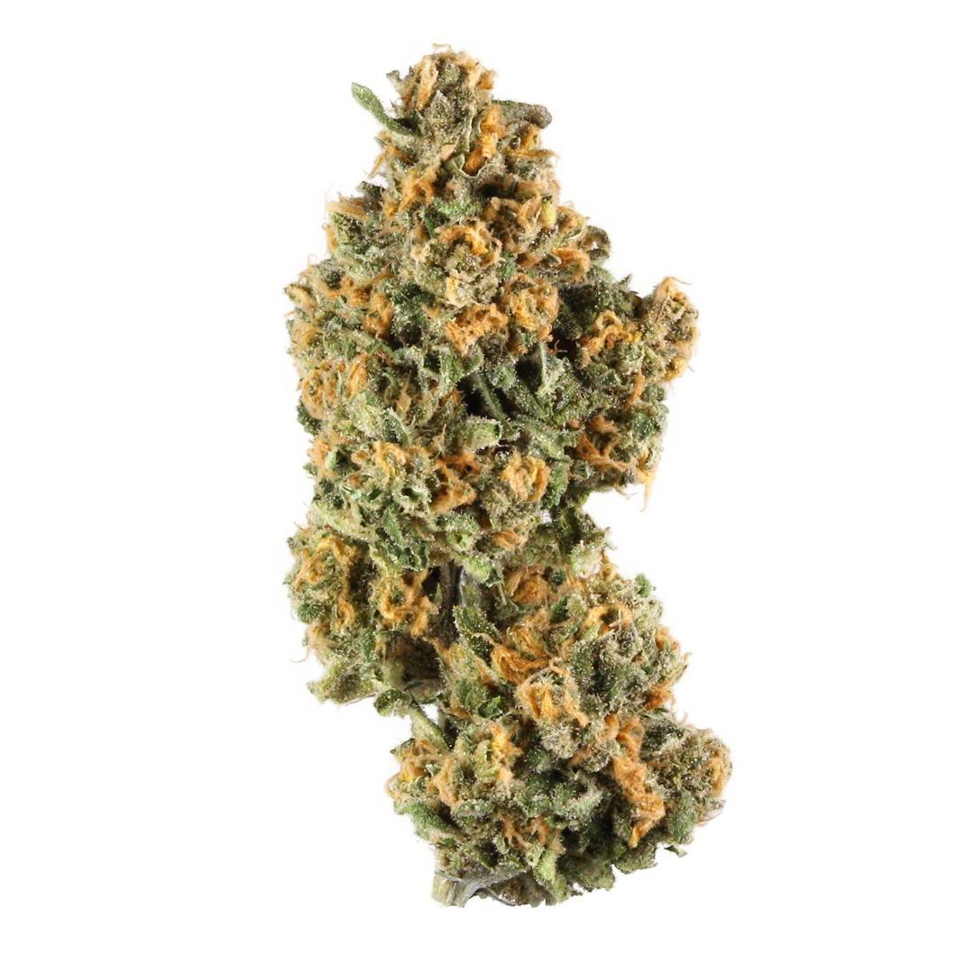 Oreo Cake - Starbuds Halifax - shrooms halifax