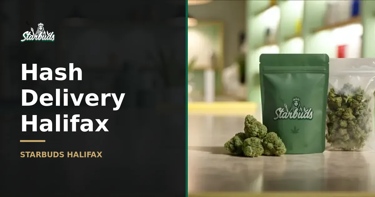 Your Guide to Hash Delivery in Halifax