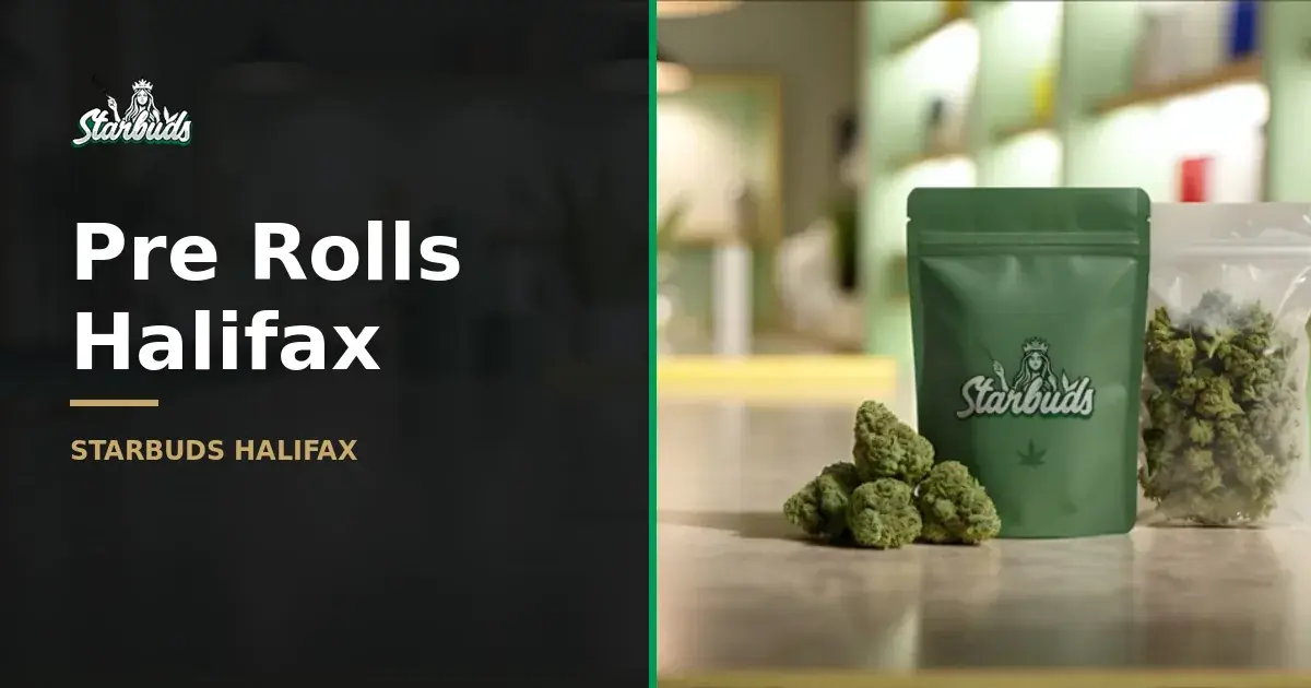 Pre-Rolls Halifax: Your Guide to Convenient Cannabis
