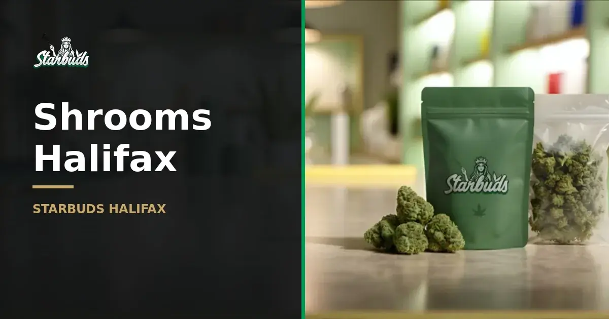 Shrooms in Halifax: Understanding Your Options at Starbuds