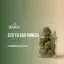 $25 to $69 Ounces