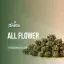 All Flower