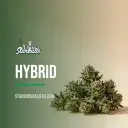 Hybrid