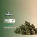 Indica