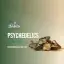 Psychedelics