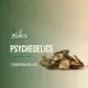 Psychedelics