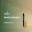 THC Vapes & Cartridges