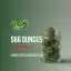 $66 Ounces